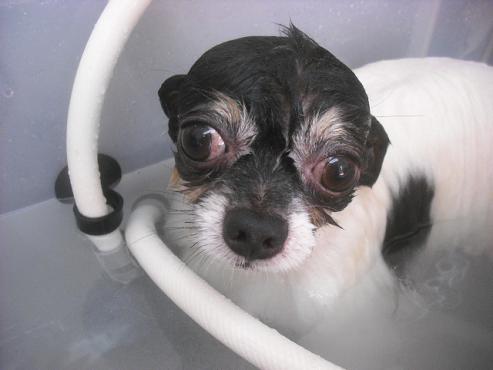 ファイル 1956-2.jpg