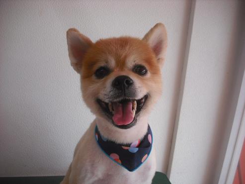 ファイル 1957-1.jpg