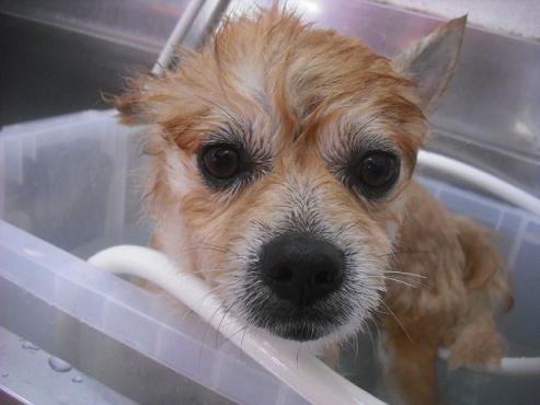 ファイル 1957-2.jpg