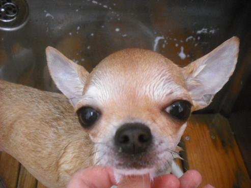 ファイル 1958-2.jpg