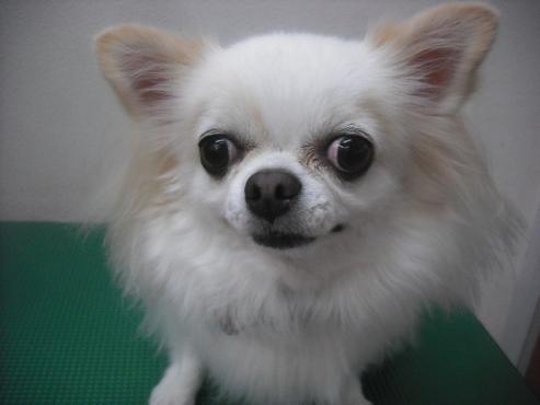 ファイル 1959-1.jpg