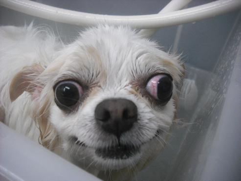 ファイル 1959-2.jpg