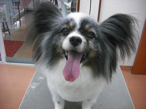 ファイル 196-1.jpg