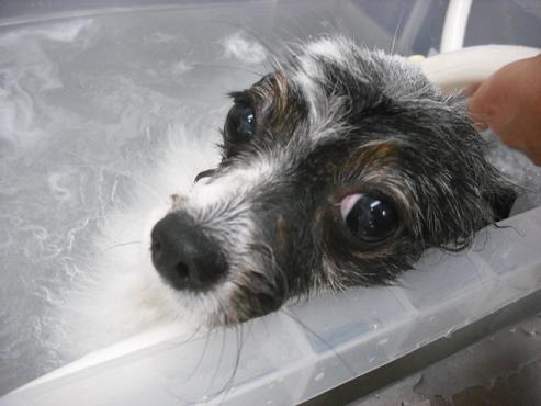 ファイル 196-2.jpg