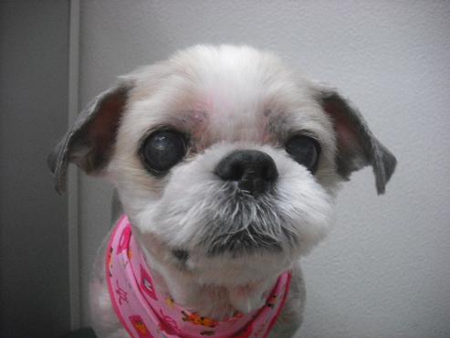 ファイル 1960-1.jpg