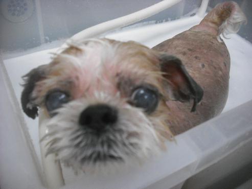 ファイル 1960-2.jpg