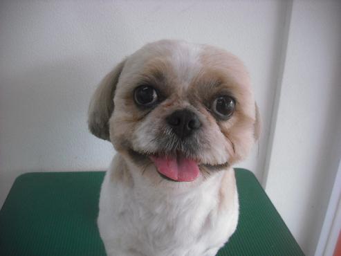 ファイル 1961-1.jpg