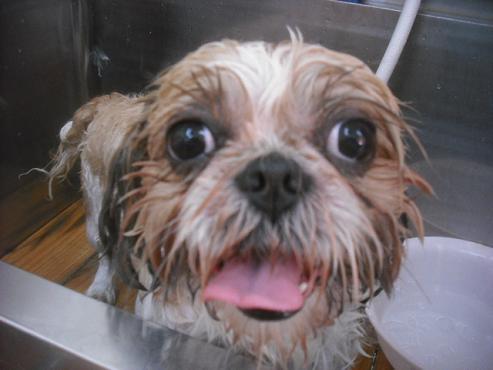 ファイル 1961-2.jpg