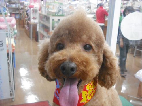 ファイル 1963-1.jpg