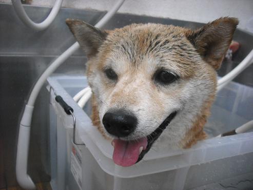 ファイル 1964-2.jpg