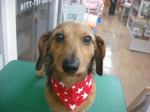 ファイル 1965-1.jpg