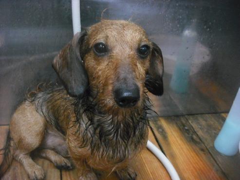 ファイル 1965-3.jpg