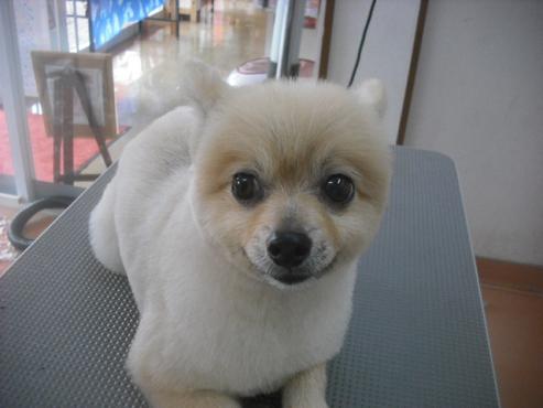 ファイル 1966-1.jpg