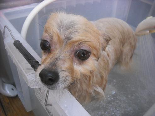 ファイル 1966-2.jpg