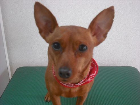 ファイル 1967-1.jpg