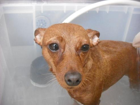 ファイル 1967-3.jpg