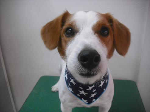 ファイル 1968-1.jpg