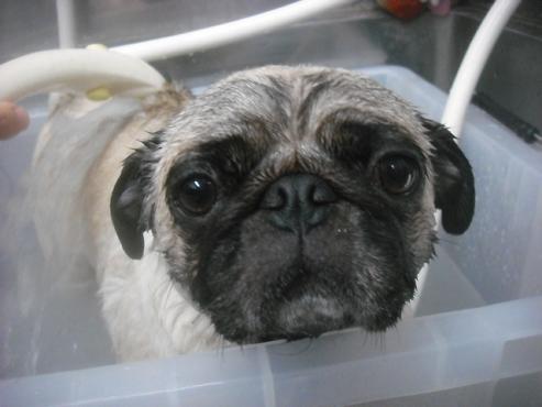 ファイル 1969-3.jpg