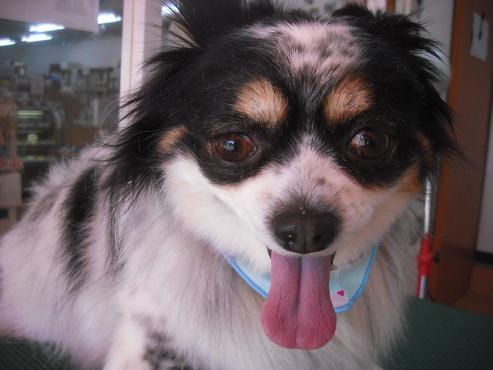 ファイル 197-1.jpg