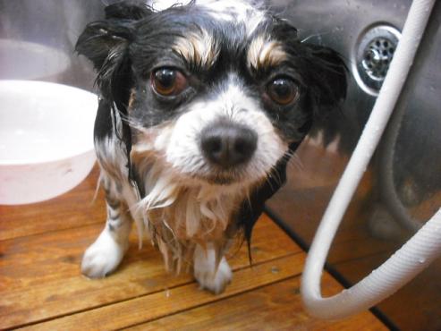 ファイル 197-2.jpg