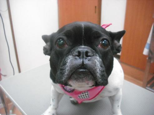 ファイル 1970-1.jpg