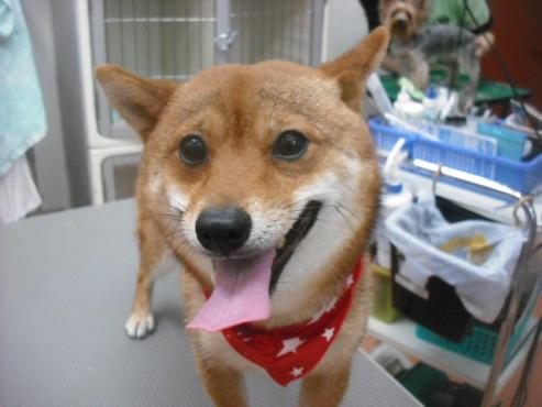 ファイル 1971-1.jpg