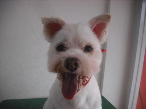 ファイル 1972-1.jpg