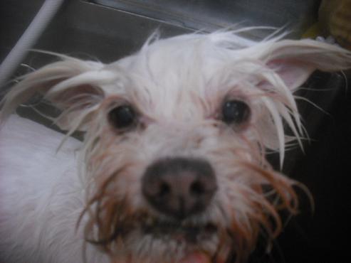 ファイル 1972-2.jpg