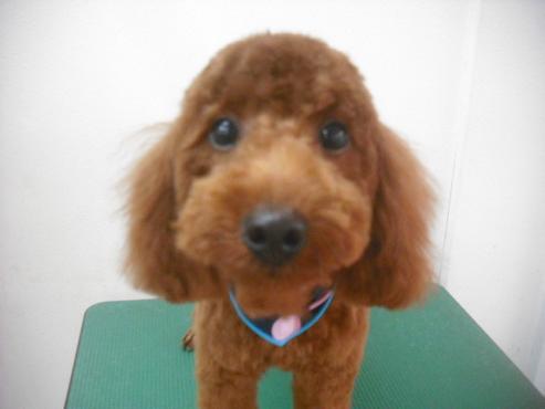 ファイル 1974-1.jpg