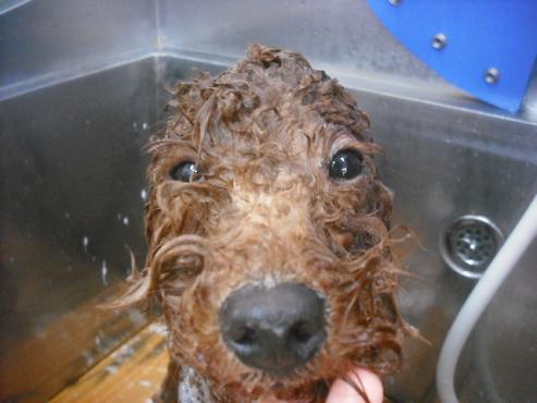 ファイル 1974-2.jpg