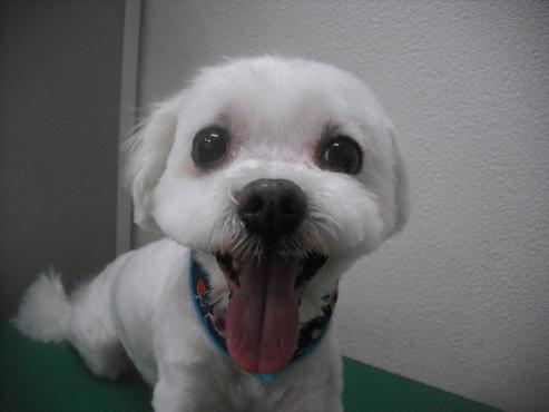 ファイル 1975-1.jpg