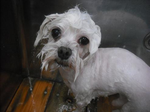 ファイル 1975-2.jpg