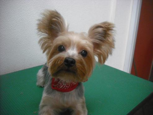 ファイル 1976-1.jpg