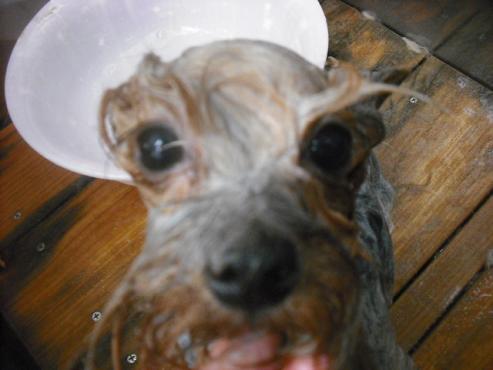 ファイル 1976-2.jpg