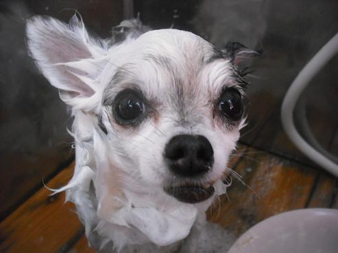 ファイル 1978-2.jpg