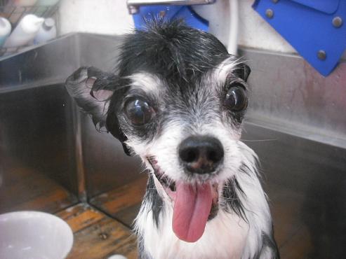 ファイル 1979-2.jpg