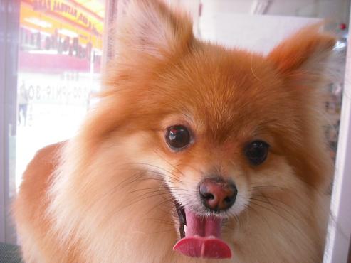 ファイル 198-1.jpg