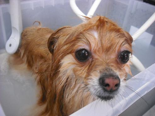 ファイル 198-2.jpg