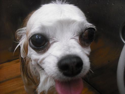 ファイル 1980-2.jpg