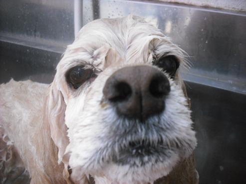 ファイル 1981-2.jpg