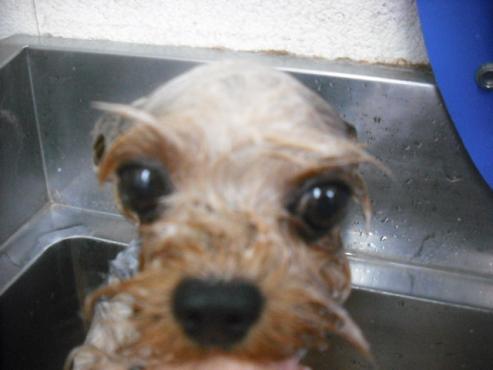 ファイル 1982-2.jpg