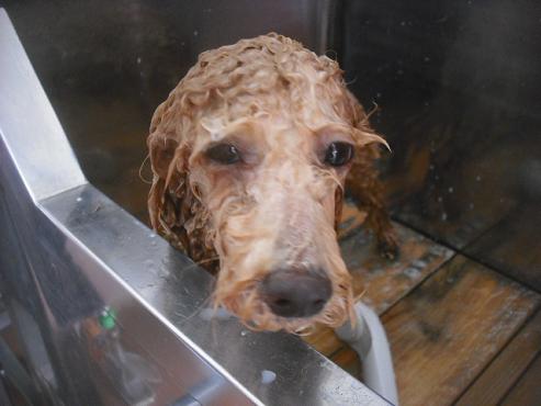 ファイル 1983-3.jpg