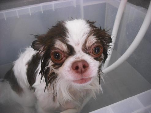 ファイル 1984-3.jpg