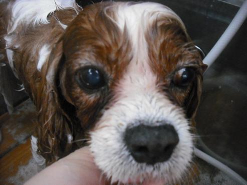 ファイル 1985-3.jpg