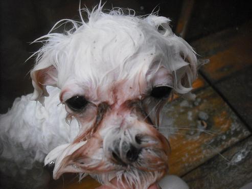 ファイル 1986-2.jpg