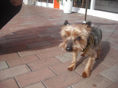 ファイル 1987-2.jpg