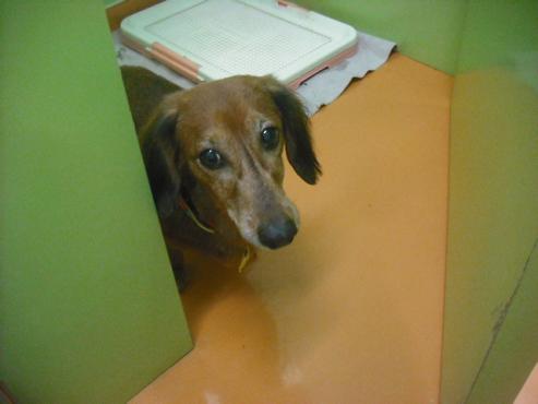 ファイル 1988-2.jpg