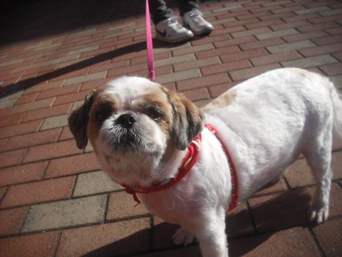 ファイル 1989-2.jpg