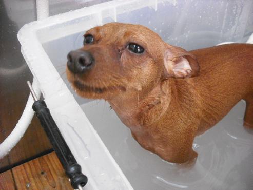 ファイル 199-1.jpg