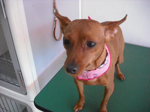 ファイル 199-2.jpg